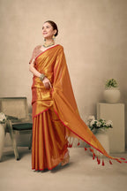 Tissue Silk Saree